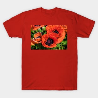 Blood Red Poppies T-Shirt